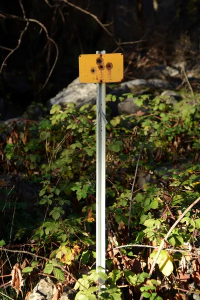 DSC_0934 (Large).JPG